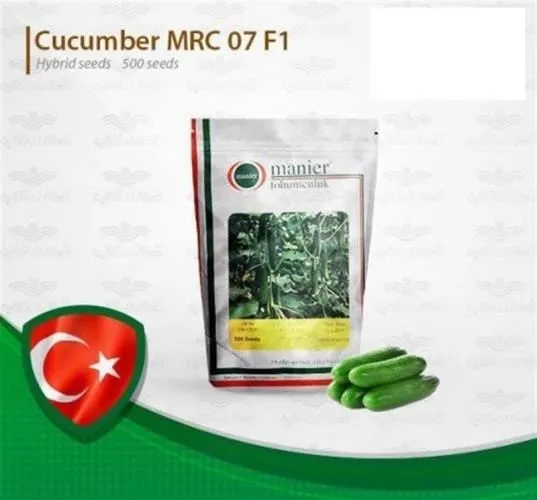 قیمت-بذر-خیار-mrc07