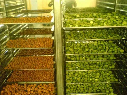 قیمت-دستگاه-خشک-کن-میوه-و-سبزی