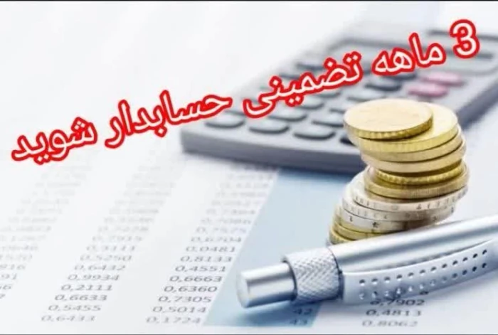 آموزش-حسابداری-حرفه-ای-و-تضمینی