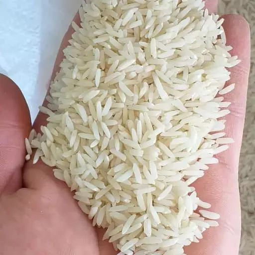 برنج-هاشمی-ممتاز-آستانه-اشرفیه