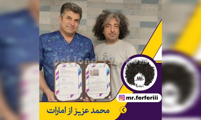 10-روش-آموزش-آرایش-حیوانات-خانگی-(2025)