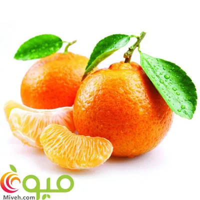 نارنگی-یافا