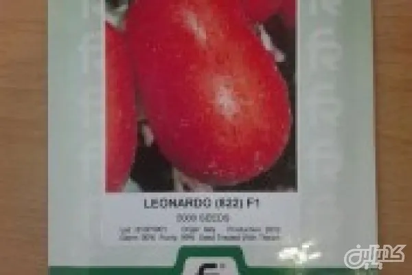 بذر-گوجه-فرنگی-پرمحصول-لئوناردو