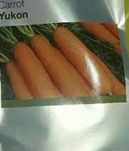 بذر-هویج-یوکان-سینجینتا