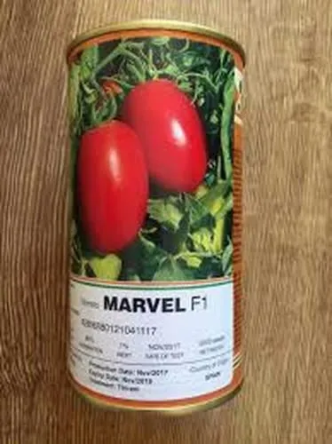 بذر-پلیت-شده-گوجه-فرنگی-مارول-هیبرید-اسپانیایی