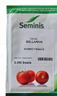 فروش-بذر-گوجه-بلاریوا