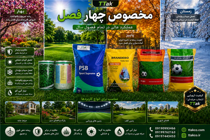 فروش-ویژه-انواع-بذر-چمن-با-بهترین-قیمت-و-کیفیت