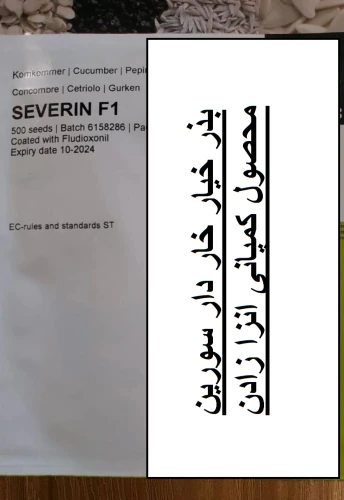 فروش-بذر-خیار-خاردار-سورین-انزازادن-هلند