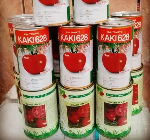 فروش-بذر-گوجه-کاکی