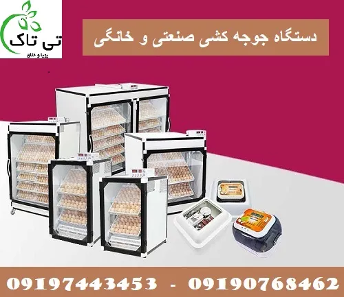 دستگاه-جوجه-کشی-صنعتی-تمام-اتوماتیک