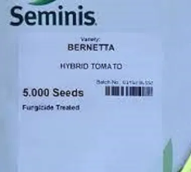 بذر-گوجه-فرنگی-برنتا-سمینیس-بذر-گوجه-berneta