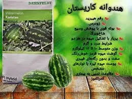 فروش-بذر-هندوانه-کاریستان-با-قیمت-مناسب