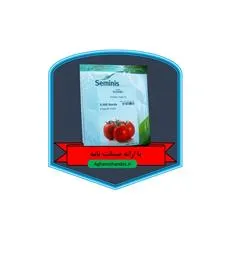 فروش-بذر-گوجه-فرنگی-8700
