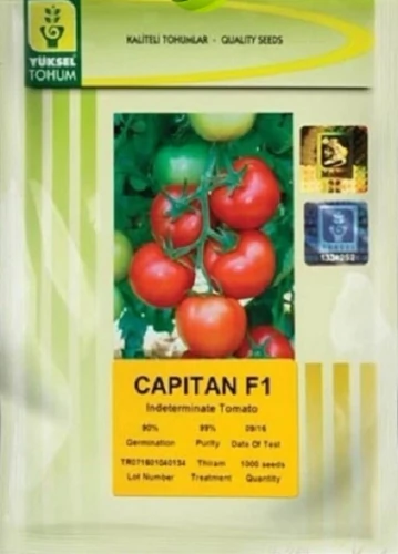 بذر-گوجه-کاپیتان