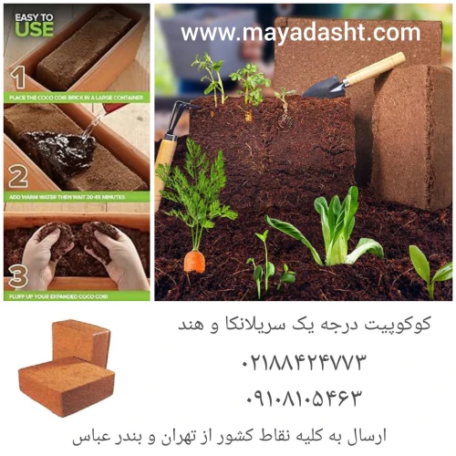 فروش-کوکوپیت