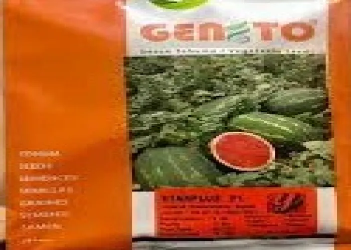 فروش-بذر-هندوانه-استارپلاس