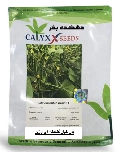 فروش-بذر-خیار-گلخانه-ای-وزیر