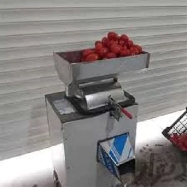 فروش-دستگاه-آبگوجه-گیری-با-تخفیف-ویژه