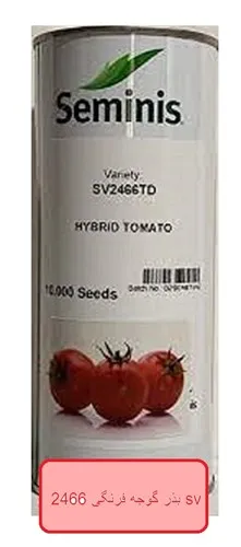 بذر-گوجه-فرنگی-2466-sv
