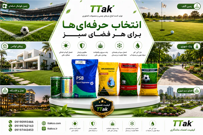 فروش-بذر-چمن-مرغوب-ایجاد-فضای-سبز-زیبا-و-یکدست