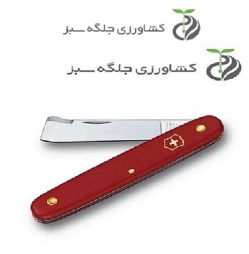 چاقو-پیوند-زنی