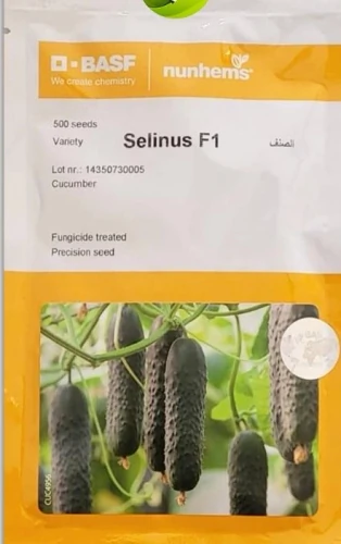بذر-خیار-خاردار-سلینوس