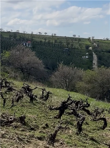 فروش-باغ-روستای-کلاب