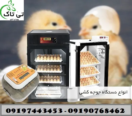 خرید-و-قیمت-دستگاه-جوجه-کشی-تی-تاک-09190768462