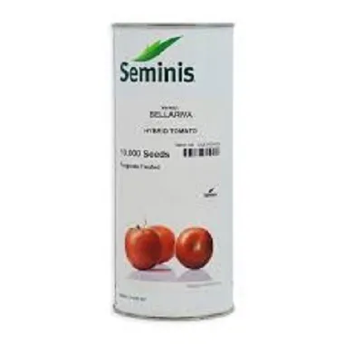 بذر-گوجه-فرنگی-بلاریوا-سمینیس