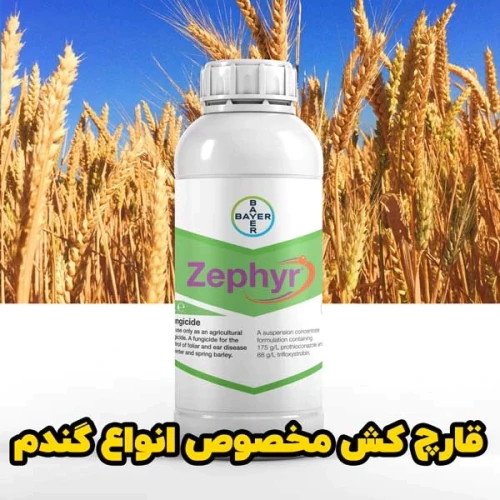 خرید-سم-قارچکش-گندم-زفیر-برای-محافظت-از-محصولات