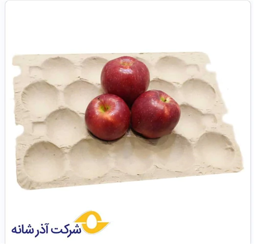 تولیدو-پخش-شانه-تخم-مرغ-وشانه-سیب