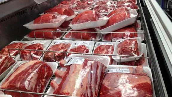 فروش-گوشت-گوساله-منجمد-برزیلی-سابین-تجارت
