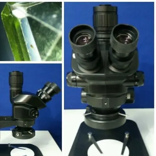 میکروسکوپ-اینورت-مدل-labomed-tc