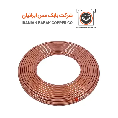 مس-باران-آریا--نماینده-رسمی-مس-بابک-در-فارس