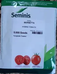 فروش-بذر-گوجه-برنتا
