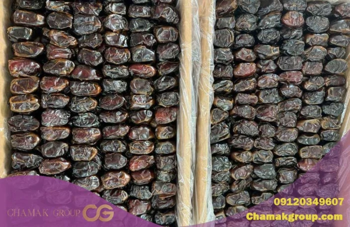 خرمای-کبکاب-صادراتی--تامین-مستقیم-و-خرید-عمده