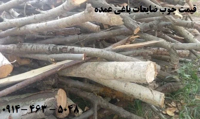 فروش-عمده-چوب-ضایعات-باغی-(1404)