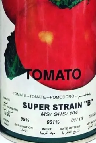 بذر-گوجه-فرنگی-سوپر-استرین-b