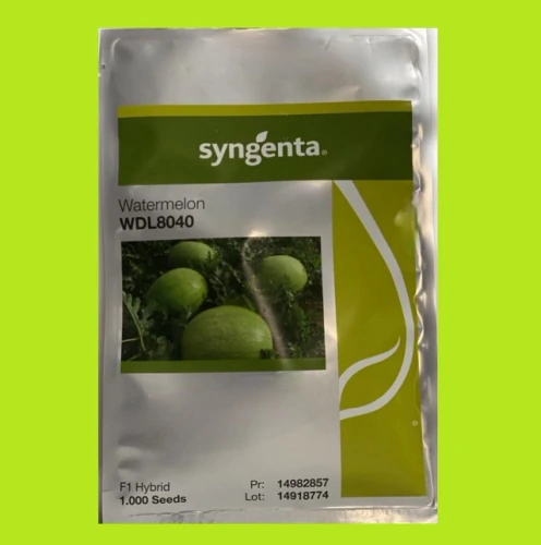 بذر-هندوانه-wdl8040-syngenta