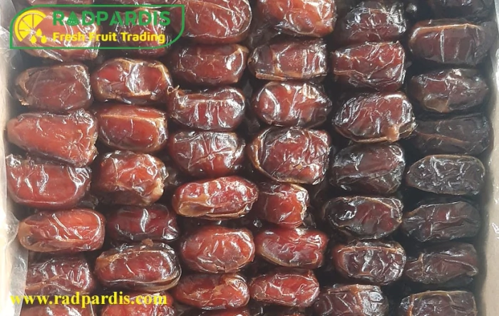 فروش-خرما-کبکاب-صادراتی-باکیفیت-و-قیمت-مناسب