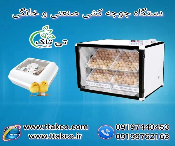فروش-ویژه-انواع-دستگاه-جوجه-کشی-خانگی-و-صنعتی