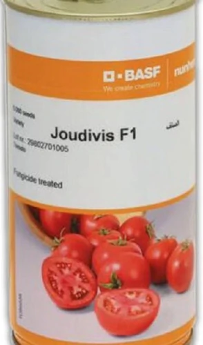 “بذر-گوجه-جودیویس-(joudivis-f1)”