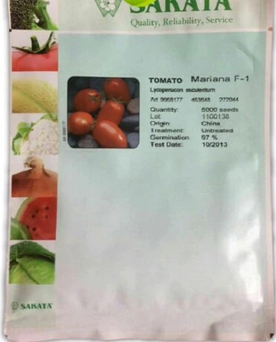 بذر-گوجه-فرنگی-ماریانا-ساکاتا