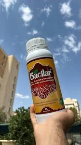 فروش-عمده-سم-باسیلار