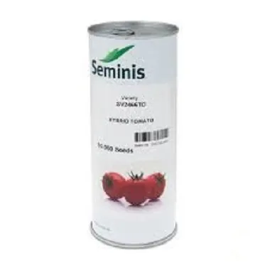 فروش-بذر-گوجه-sv-2466-سیمینس