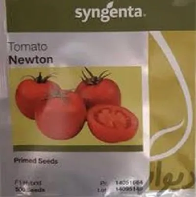 بذر-گوجه-گلخانه-ای-نیوتن-newton-f1