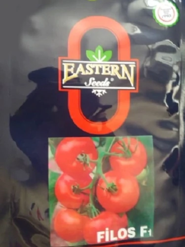 بذر-گوجه-فیلوس-محصول-شرکت-ایسترن-ترکیه