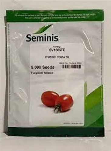 بذر-گوجه-فرنگی-1585-سمینیس