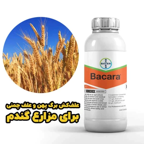 خرید-آنلاین-علف‌کش-قوی-خارجی-bacara-برای-گندم