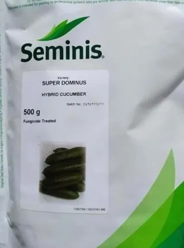 بذر-خیار-دومینوس-سیمینس